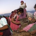 Las mujeres zapotecas juegan un importante rol económico.