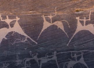 El hallazgo en Sudamérica que desbanca el mito de que los hombres eran quienes cazaban a los grandes animales en la prehistoria