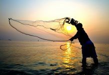 Evangelio del día: miércoles 30 de noviembre