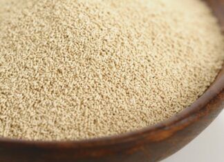 Evangelio del día: viernes 14 de octubre de 2022