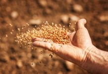 Evangelio del día: martes 25 de octubre de 2022