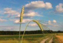 Evangelio del día: martes 5 de julio de 2022