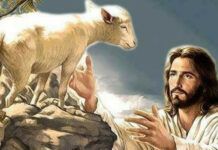 Evangelio del día: martes 6 de diciembre de 2022