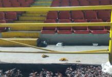 Alcaldía de Ibagué rechazó los daños ocasionados en el estadio Manuel Murillo Toro