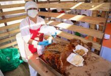 ¡Ya inició el día de la Lechona Tolimense!