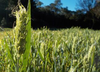 Evangelio del día: martes 18 de octubre de 2022