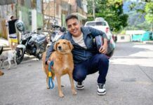 Peluditos’ volverán a ser esterilizados de manera gratuita por el CAPA