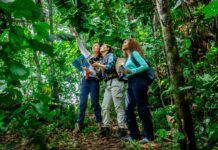 Fontur recaudó más de $72.460 millones de la contribución parafiscal para la Promoción del Turismo, en el primer semestre del año