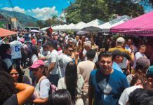 Gracias ibaguereños solidarios: $ 185 millones en ventas se logró en la Feria de la Solidaridad